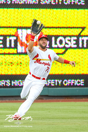 Redbirds061116-061