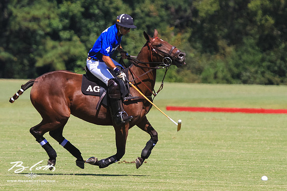 WingsPolo-073