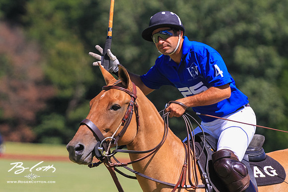 WingsPolo-027