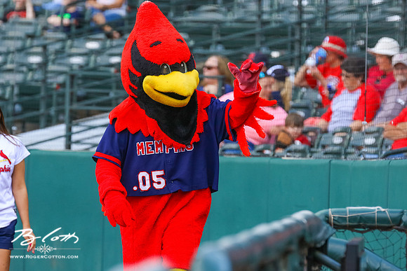redbirds052116-028