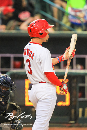 redbirds062915-110