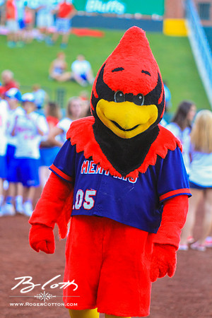 Redbirds061215-12
