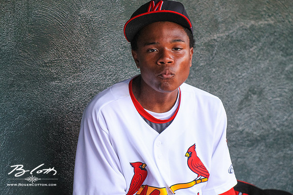 redbirds073115-016