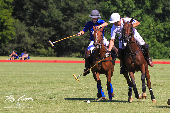 WingsPolo-127