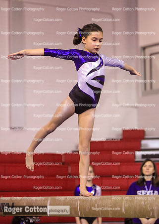 s2beam-201