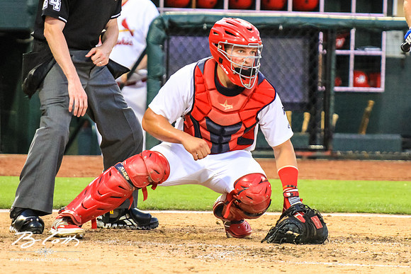 Redbirds061215-149